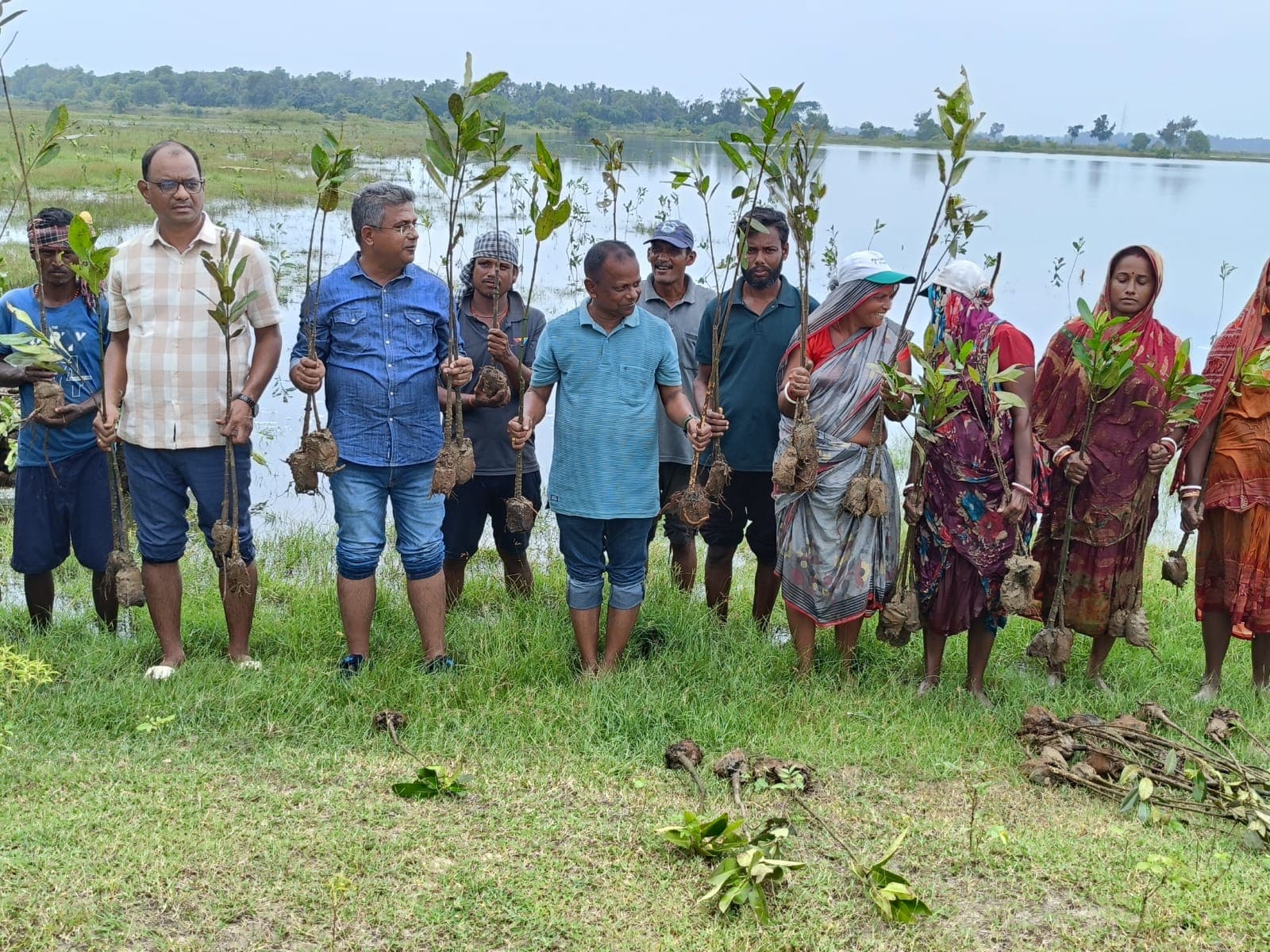 Community group holding mangrove saplings for plantation drive