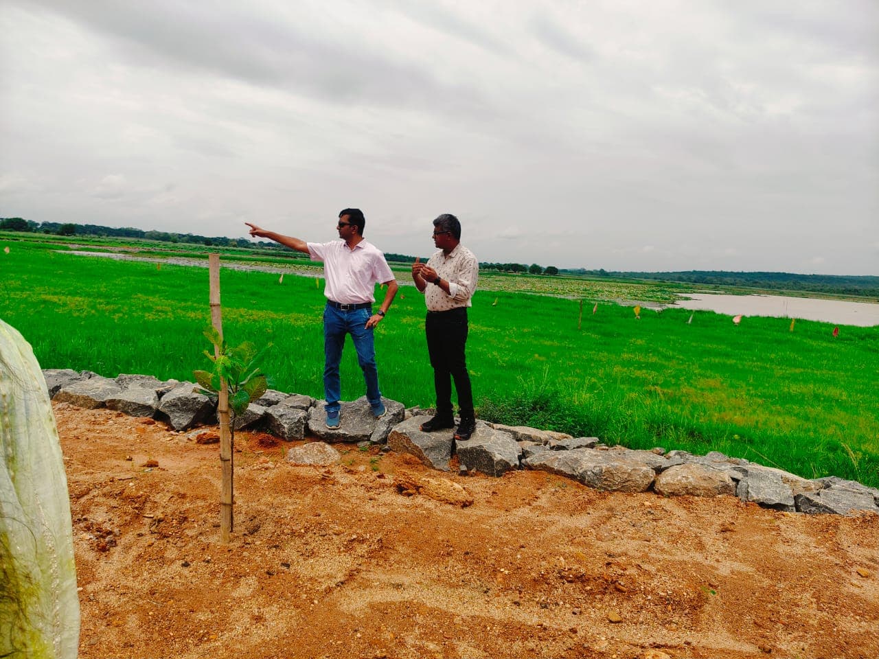 Gayalbanka Pata lake panoramic view showing restoration progress